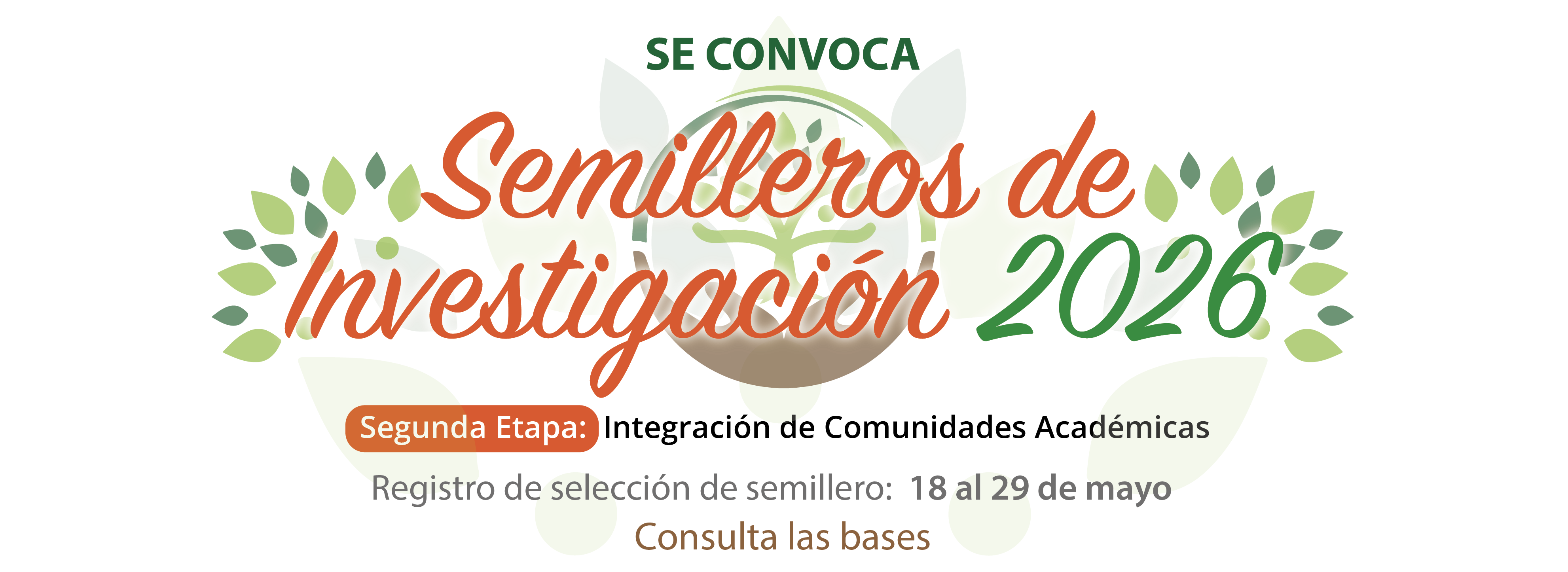 Semilleros_de_investigacion_2026_banner_web_copia